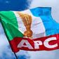 APC flag (TheCable)