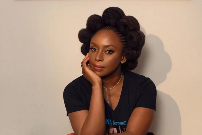Chimamanda Adichie (mannyjefferson⁣Makeup)