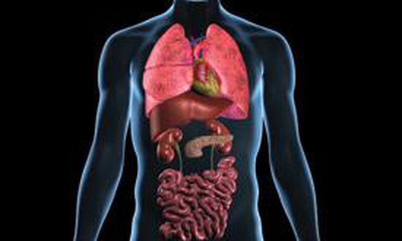 healthy organs