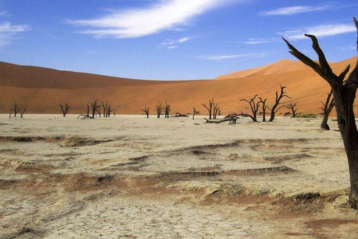 Climate Change in Africa