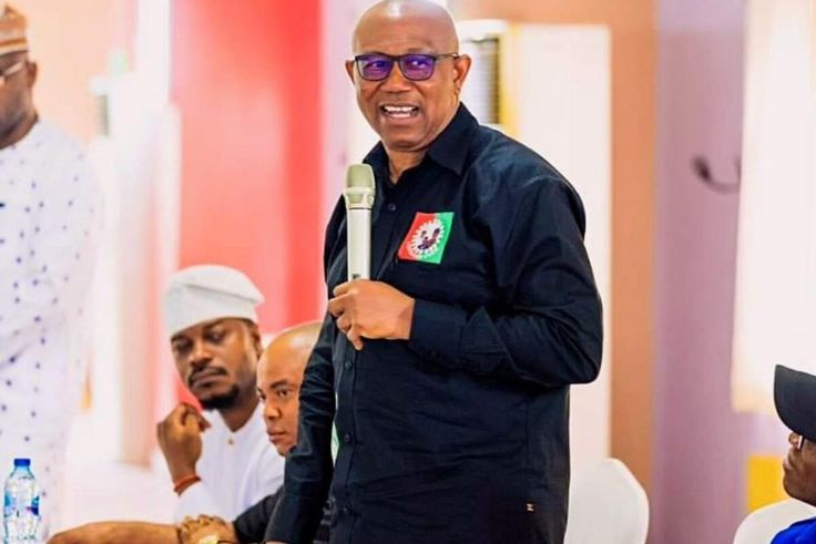 Labour Party Presidential candidate, Peter Obi.
