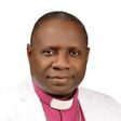 The new CAN President, Archbishop Daniel Okoh. [Punch]