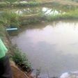 10-year-old boy drowns in Jigawa pond, as NSCDC recovers corpse of abandoned baby (PMNews)