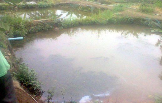 10-year-old boy drowns in Jigawa pond, as NSCDC recovers corpse of abandoned baby (PMNews)