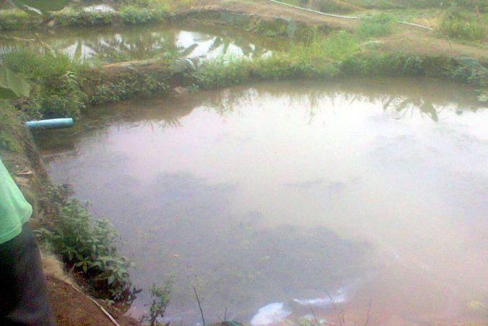 10-year-old boy drowns in Jigawa pond, as NSCDC recovers corpse of abandoned baby (PMNews)