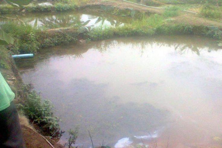 10-year-old boy drowns in Jigawa pond, as NSCDC recovers corpse of abandoned baby (PMNews)