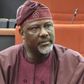 Dino Melaye. (Punch)