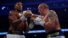 Anthony Joshua and Oleksandr Usyk (Action Images via Reuters)