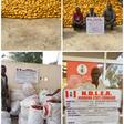 NDLEA arrests 75-year-old grandfather over Indian hemp. [Twitter:NDLEA]