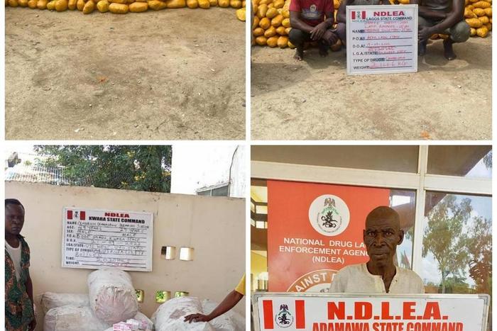 NDLEA arrests 75-year-old grandfather over Indian hemp. [Twitter:NDLEA]