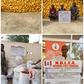 NDLEA arrests 75-year-old grandfather over Indian hemp. [Twitter:NDLEA]