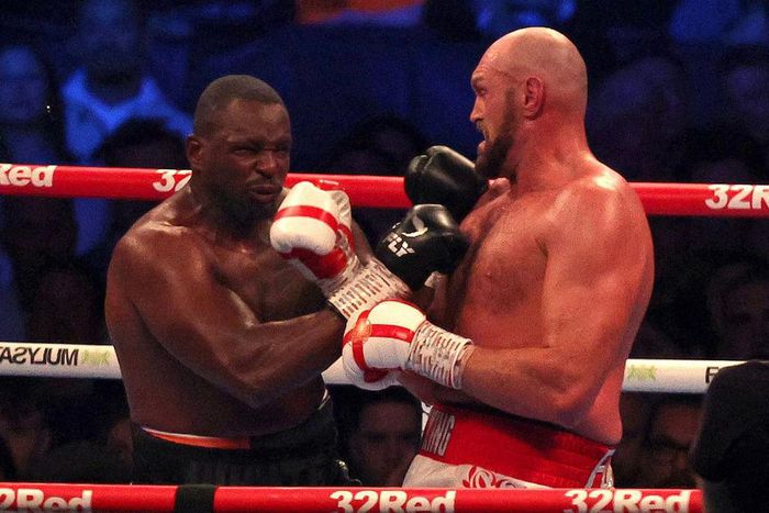 Tyson Fury stunned Dillian Whyte with a sixth round uppercut to emerge victorious at Wembley (ADRIAN DENNIS/AFP)