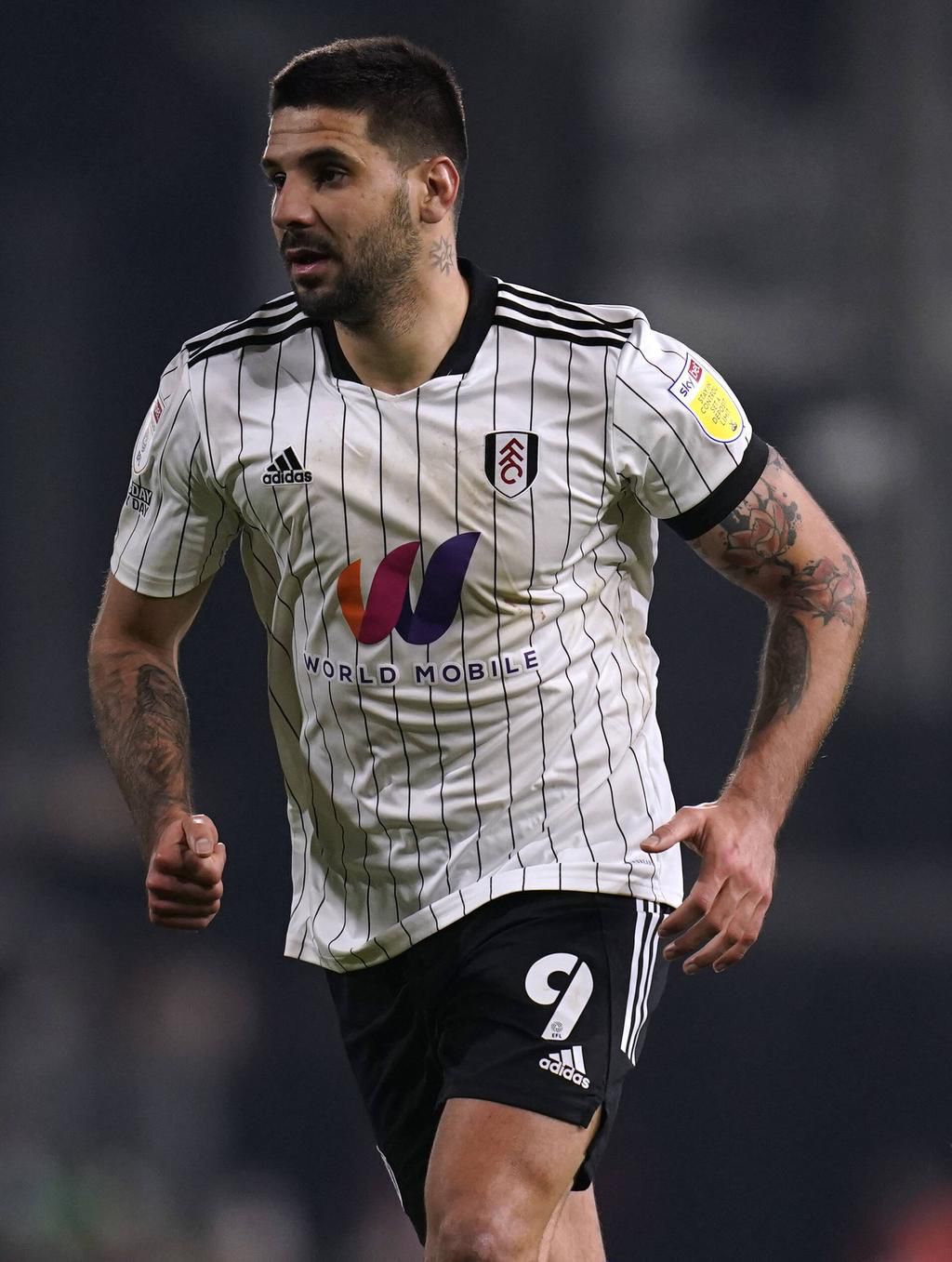 Alexander Mitrovic