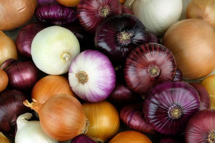 Red and white onions