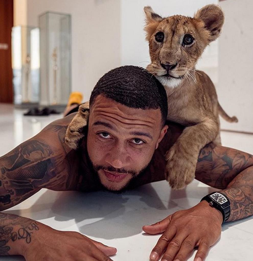 Depay with his liger cub