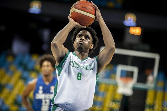 Nigeria's D'Tigers awarded 20-0 win against Mali
