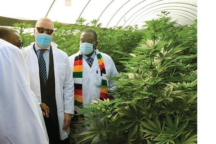 President Emmerson Mnangagwa commissions U.S.$27 million Swiss medicinal cannabis farm and processing plant