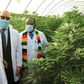 President Emmerson Mnangagwa commissions U.S.$27 million Swiss medicinal cannabis farm and processing plant