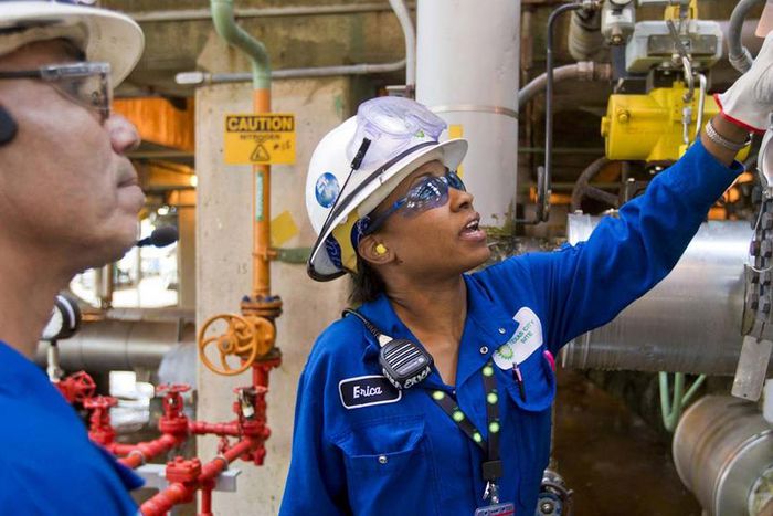 Nigerian engineers in Diaspora plan online training hub for local content development. [guardian]