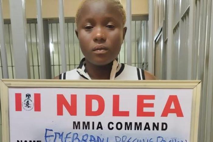 NDLEA intercepts 2.8m Tramadol tabs worth N1.4bn at Lagos Port