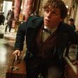 Eddie Redmayne for "Fantastic Beasts and Where to Find Them"