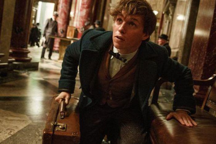 Eddie Redmayne for "Fantastic Beasts and Where to Find Them"