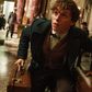 Eddie Redmayne for "Fantastic Beasts and Where to Find Them"