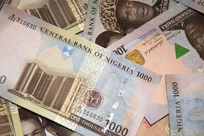 Naira-Notes (PremiumTimes)