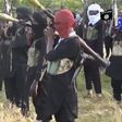 Boko Haram/ISWAP members