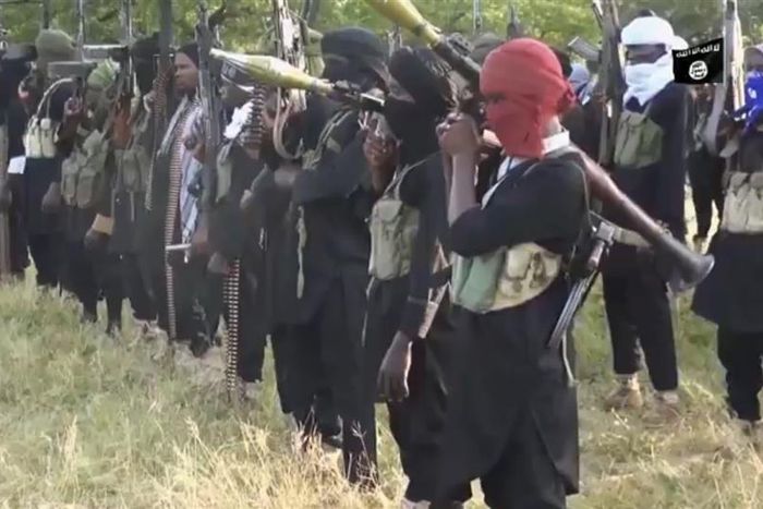 Boko Haram/ISWAP members