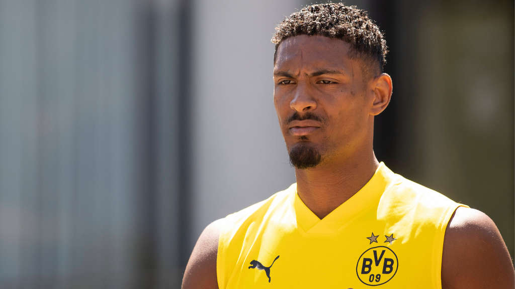 Borussia Dortmund striker Sebastien Haller has been diagnosed with testicular tumour
