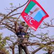 APC (ThisNigeria)