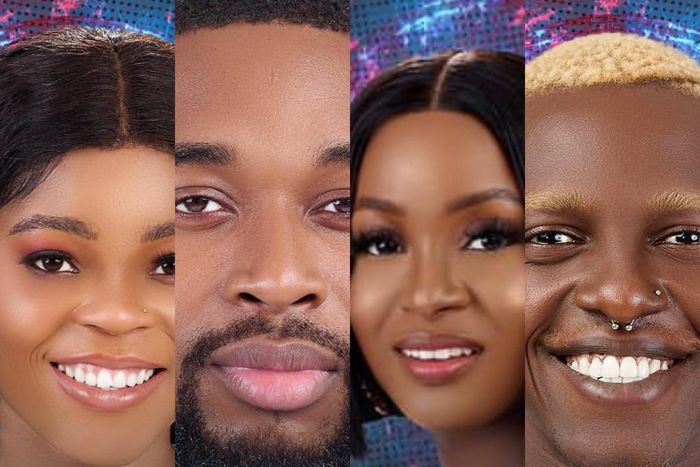 Week 8 nominated housemates [bigbronaija]