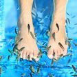 Fish Pedicure