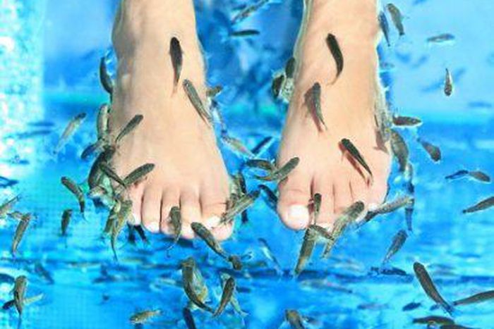 Fish Pedicure