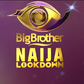 Big Brother Lockdown