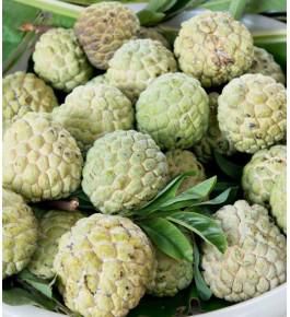 Custard Apple