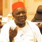 Former Nigerian Ambassador to the US, Israel and Cyprus, Prof. George Obiozor, has been announced as the new President-General of Ohaneze Ndigbo Worldwide. [cyboknews]
