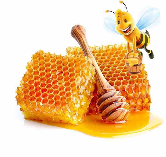 Honey