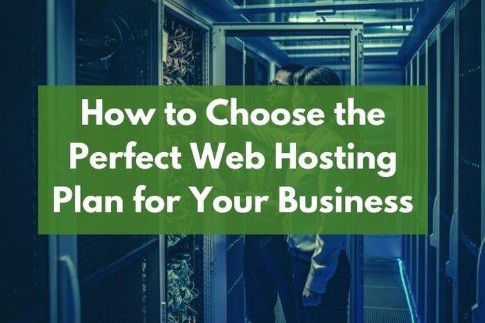 How to Choose the Perfect Web Hosting Plan for Your Business