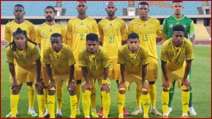 The Falcons and True Parrots of Sao Tome and Principe.