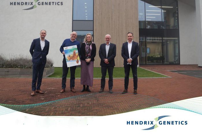 Chi‌ ‌Farms‌ ‌expands‌ ‌partnership‌ ‌with‌ ‌Hendrix‌ ‌Genetics‌