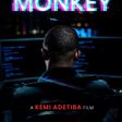 Kemi Adetiba announces new film 'To Kill A Monkey'