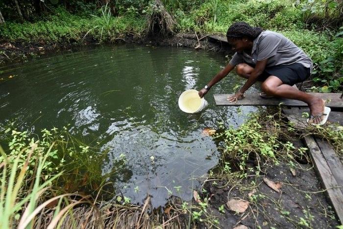 Hundreds of protesters from the Kula and Belema communities in Nigeria's restive southern Rivers state have occupied the Shell plant since August 11
