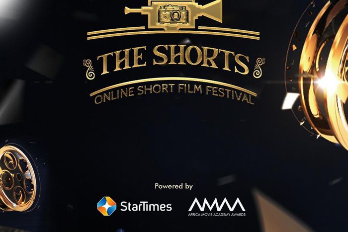 Filmmakers will be rewarded for this category at the AMAA [AMAA]