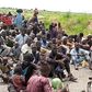 Boko Haram terrorists surrender to Nigerian Army troops in Borno State [Nigerian Army]