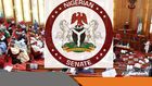 Senate (DailyNigerian)