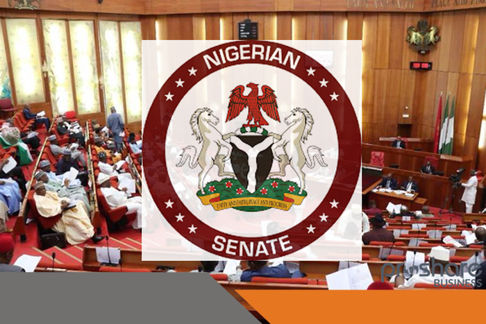 Senate (DailyNigerian)