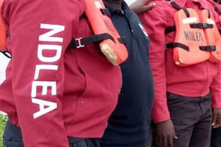 Our officers' identity cards also serve as arrest warrants - NDLEA. [Guardian]