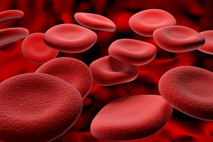 You need to keep your blood clean [Britannica]